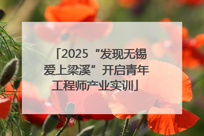 2025“发现无锡 爱上梁溪”开启青年工程师产业实训