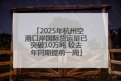 2025年杭州空港口岸国际货运量已突破10万吨 较去年同期提前一周