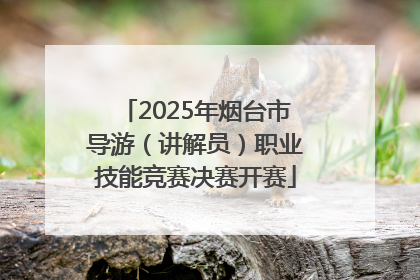 2025年烟台市导游（讲解员）职业技能竞赛决赛开赛