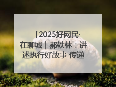 2025好网民·在聊城｜郝轶林：讲述执行好故事 传递司法正能量