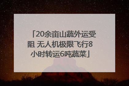 20余亩山蔬外运受阻 无人机极限飞行8小时转运6吨蔬菜