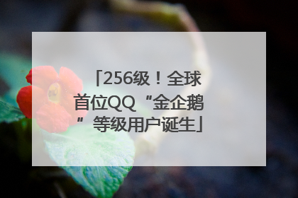 256级！全球首位QQ“金企鹅”等级用户诞生