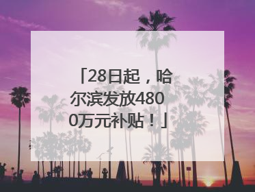 28日起，哈尔滨发放4800万元补贴！