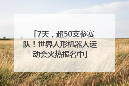 7天，超50支参赛队！世界人形机器人运动会火热报名中