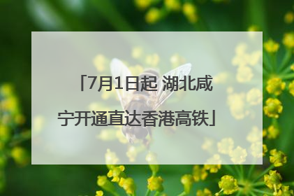 7月1日起 湖北咸宁开通直达香港高铁