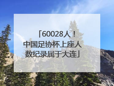 60028人！中国足协杯上座人数纪录属于大连